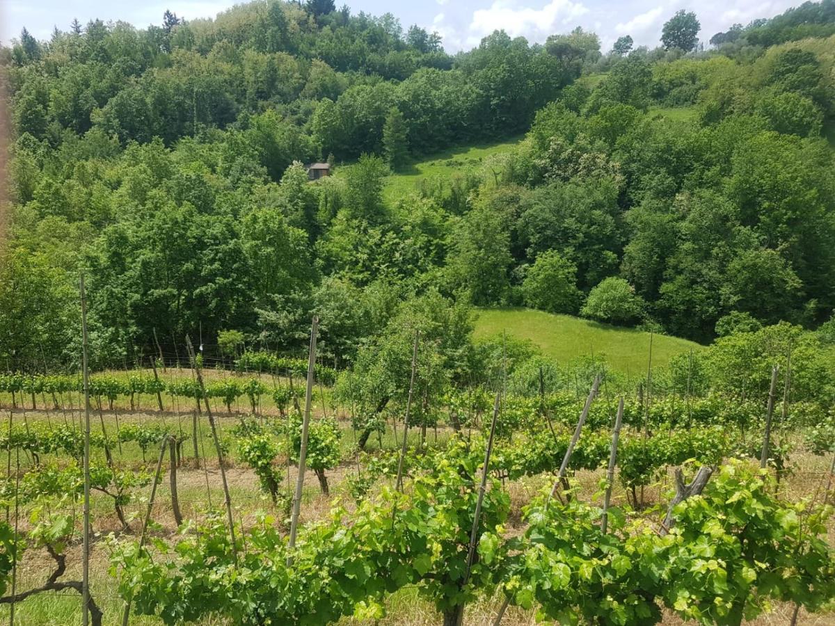 Casa Del'Orto Villa Bigliolo Bagian luar foto